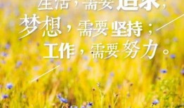 早安最新爆料图片大全,最新图片大全揭秘瞬间